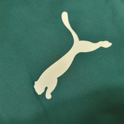 SE Palmeiras Windbreak
