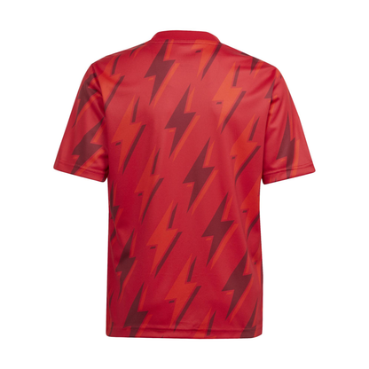 Arsenal FC Training Shirt
