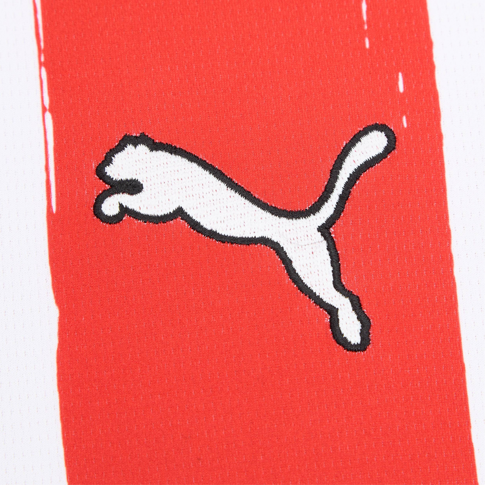 2024-25 PSV Eindhoven Home Kit