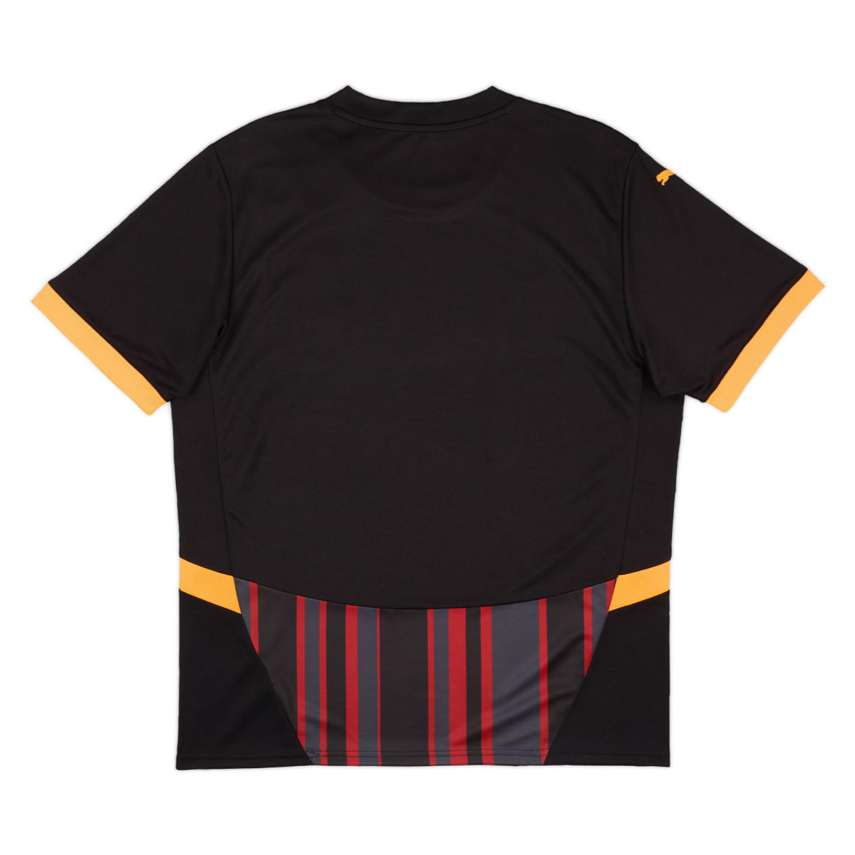 2024-25 Galatasaray SK 3rd Kit