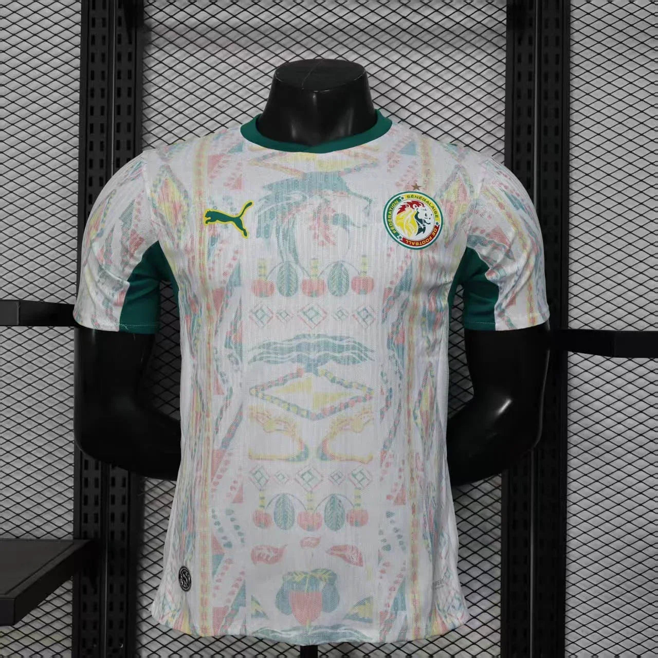 2026 Senegal Home Kit